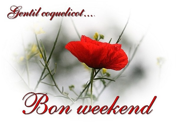 BON WEEK-END